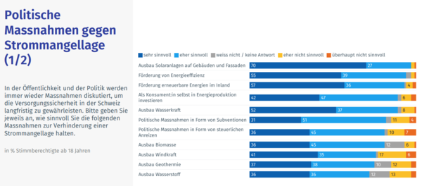 Auszug Umfrage